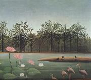 Henri Rousseau The Flamingos oil painting on canvas